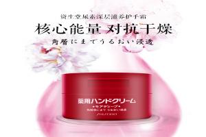 日本 Shiseido 资生堂 尿素深层滋养护手霜 100g